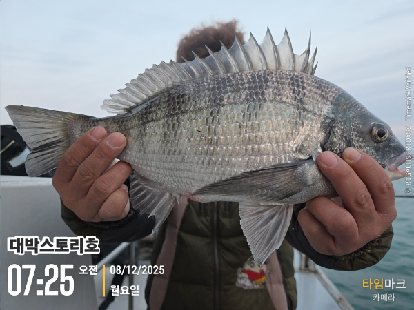 2025-12-08 07.25.19__(대박스토리호).jpg