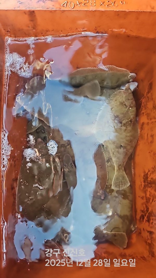 신신낚시 강구점 신신호_사진_20251228_2.jpg