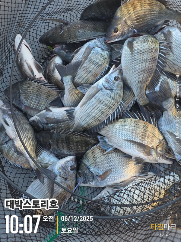 2025-12-06 10.07.28__(대박스토리호).jpg