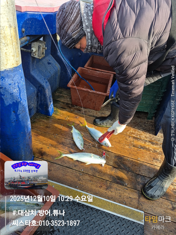 2025-12-10 10.29.31__(#-대삼치.방어.튜나)_(씨스타호-010-3523-1897).jpg