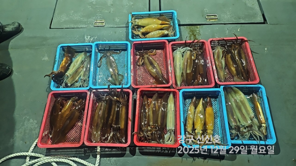 신신낚시 강구점 신신호_사진_20251230_15.jpg