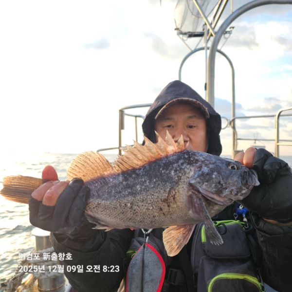 ꫛꫀꪝ✧‧˚ 태안 마검포 新출항호 .• _˚☀₊_사진_20251209_2.jpg