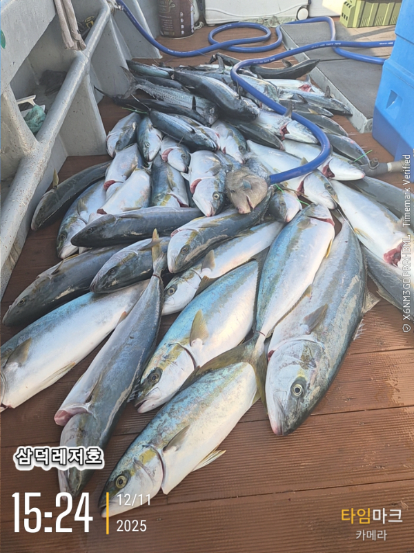 2025-12-11 15.24.11_.jpg