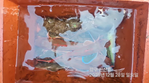 신신낚시 강구점 신신호_사진_20251228_11.jpg
