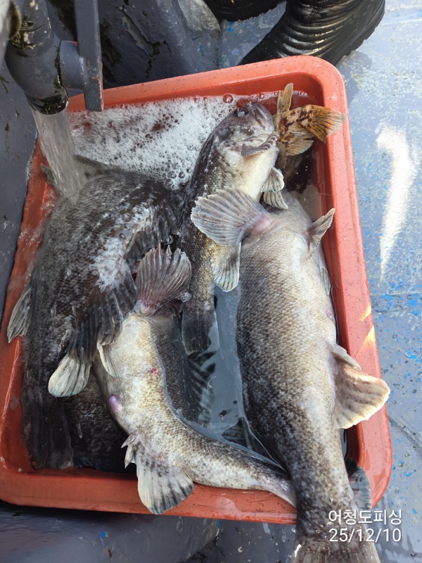 최강피싱 063.463.0800_사진_20251211_32 - 복사본.jpg