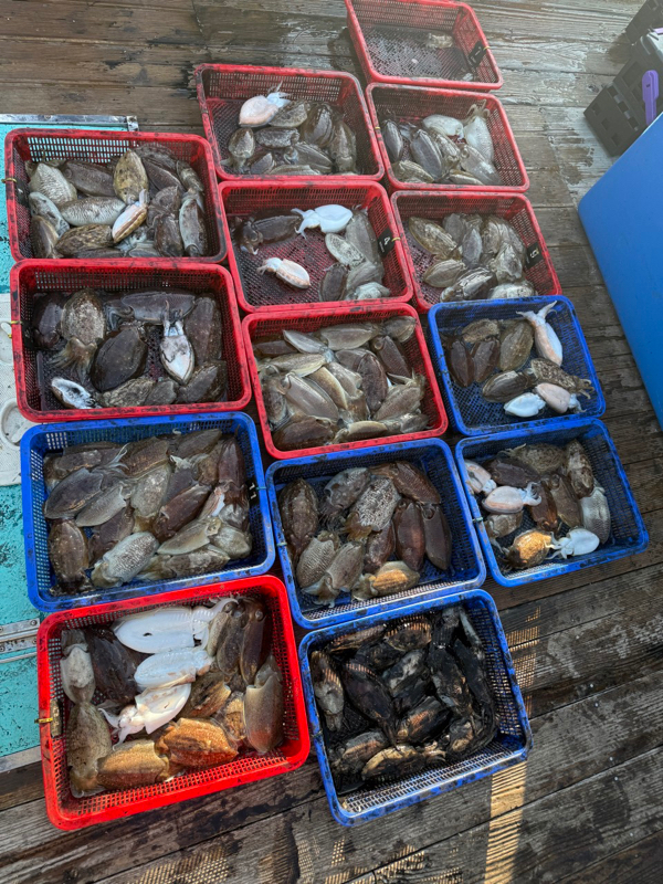 제주 쏘니호_사진_20251218_15.jpg