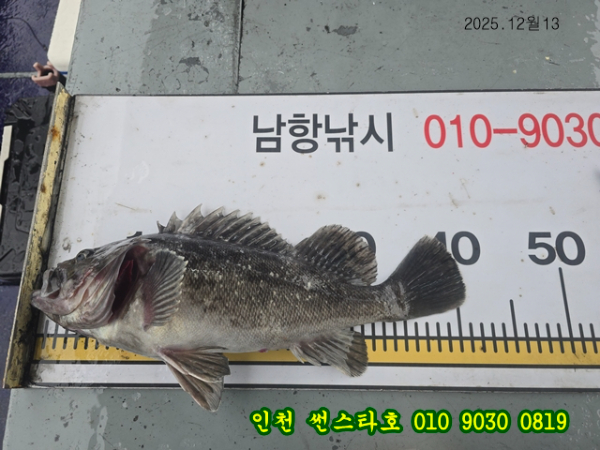 12월13 썬 (36).jpg