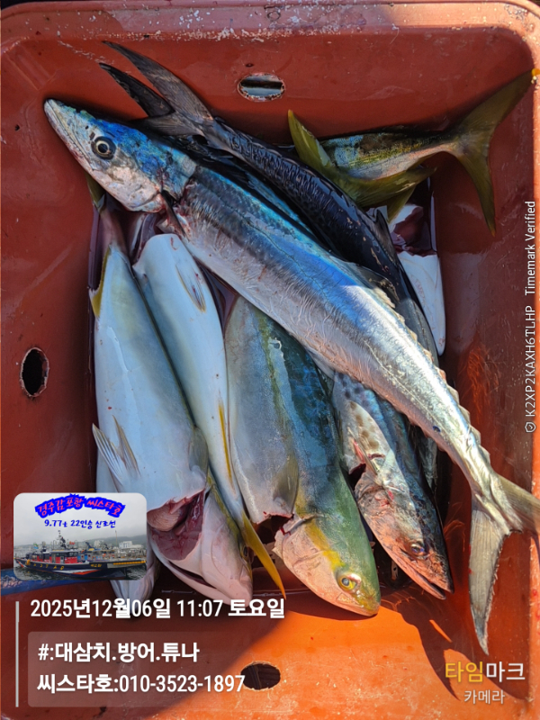2025-12-06 11.07.44__(#-대삼치.방어.튜나)_(씨스타호-010-3523-1897).jpg