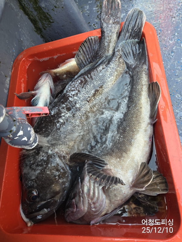 최강피싱 063.463.0800_사진_20251211_26 - 복사본.jpg