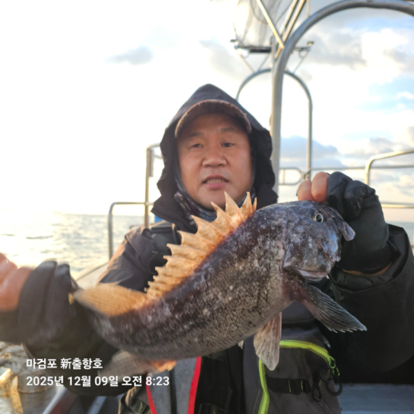 ꫛꫀꪝ✧‧˚ 태안 마검포 新출항호 .• _˚☀₊_사진_20251209_1.jpg