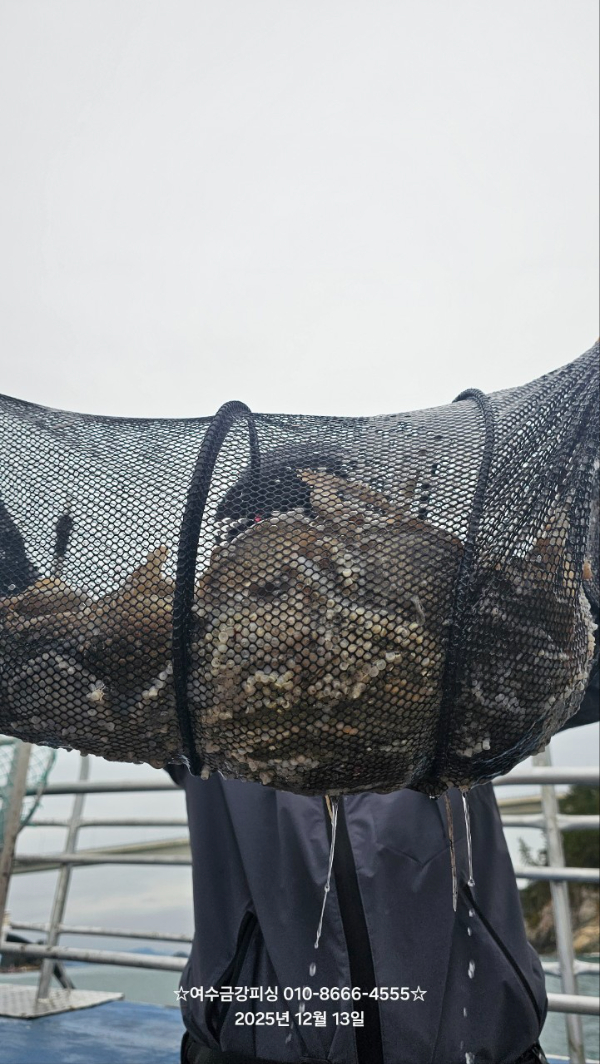 여수금강피싱_사진_20251213_2.jpg