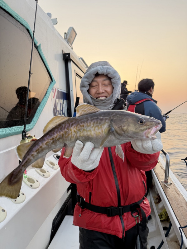 #에이스호#울진 #왕돌초 #빅게임 #왕대구 #대왕문어 #무늬오징어 #대광어 #볼락_사진_20251207_1.jpg