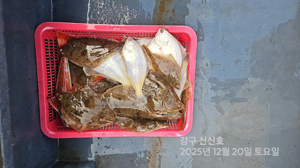 신신낚시 강구점 신신호_사진_20251220_1.jpg