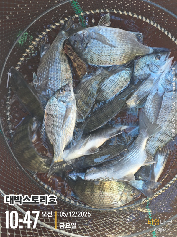 2025-12-05 10.47.25__(대박스토리호).jpg