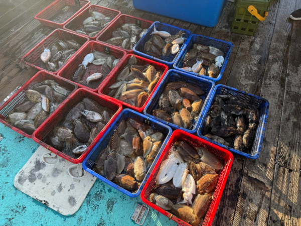 제주 쏘니호_사진_20251218_14.jpg