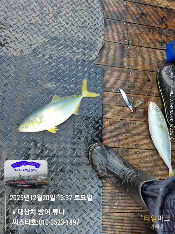 2025-12-20 13.37.31__(#-대삼치.방어.튜나)_(씨스타호-010-3523-1897).jpg