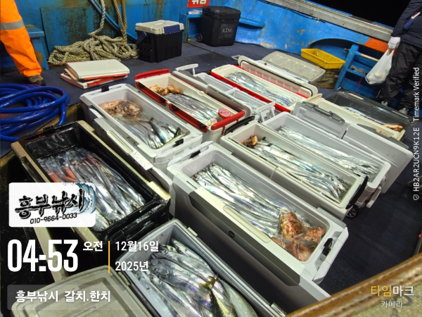 2025-12-16 04.53.19__(-흥부낚시  갈치.한치).jpg