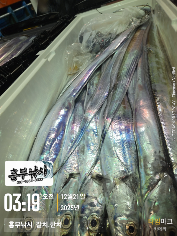 2025-12-21 03.19.38__(-흥부낚시  갈치.한치).jpg