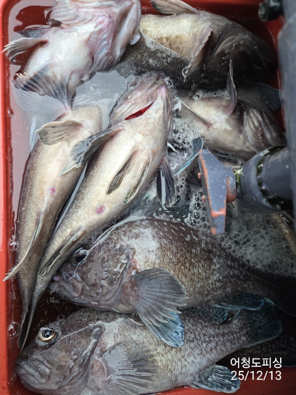 최강피싱 063.463.0800_사진_20251213_38.jpg