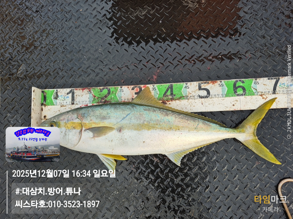 2025-12-07 16.34.07__(#-대삼치.방어.튜나)_(씨스타호-010-3523-1897).jpg