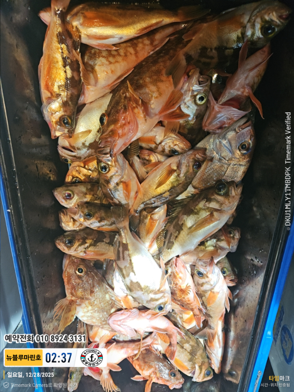 2025-12-28 02.37.47_대한민국_(제목-뉴블루마린호)_(예약전화 010 8924 3131).jpg