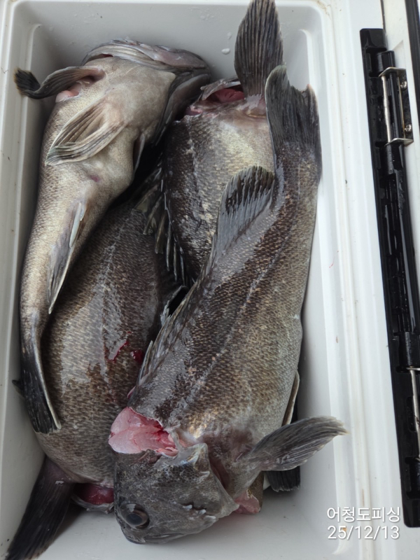 최강피싱 063.463.0800_사진_20251213_47.jpg