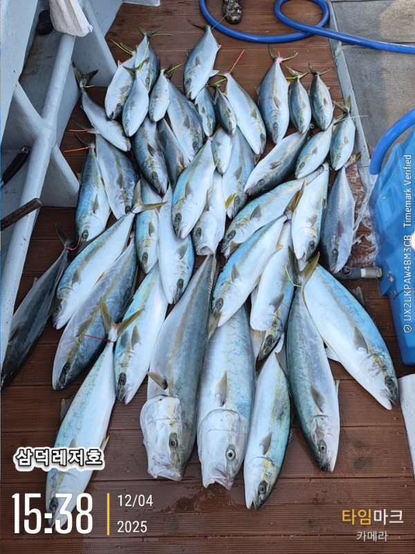 2025-12-04 15.38.14_.jpg