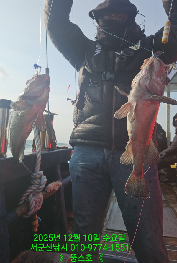 군산 선상낚시, 바다낚시 출조 전문 ☆서군산낚시☆_사진_20251210_12.jpg