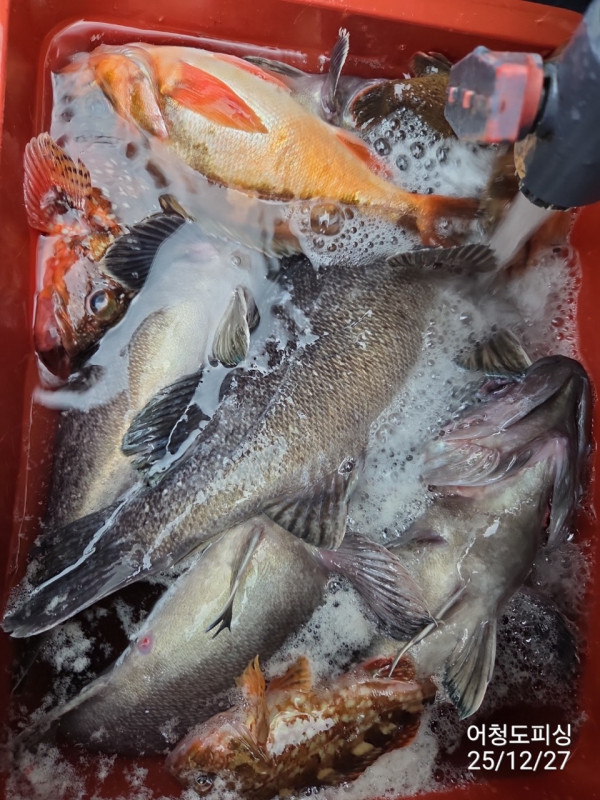 최강피싱 063.463.0800_사진_20251227_24 - 복사본.jpg