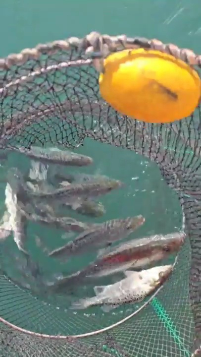 2025_12_02 19_38(5).jpg