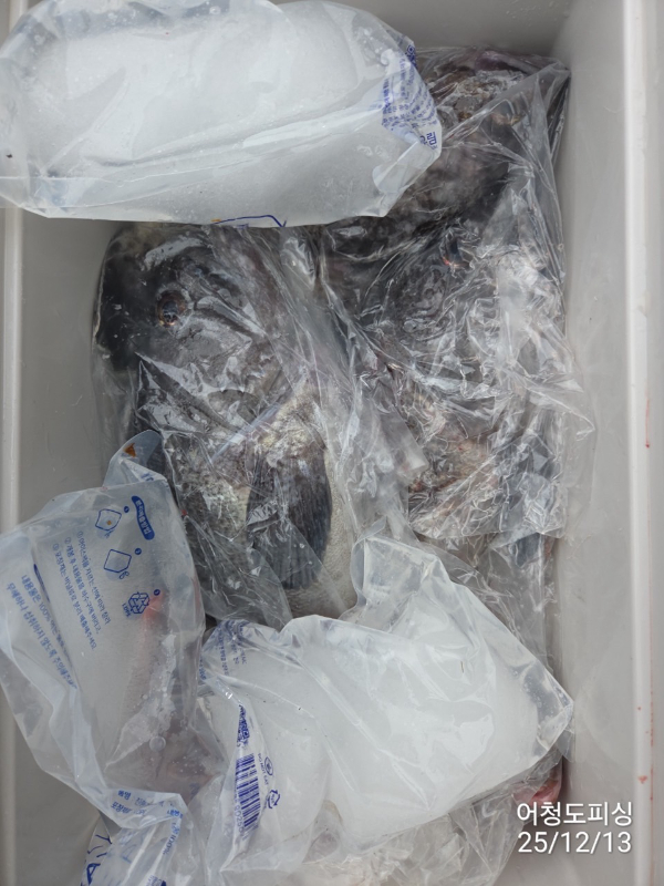 최강피싱 063.463.0800_사진_20251213_52.jpg