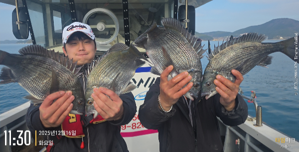 2025-12-16 11.30.42_대한민국.jpg