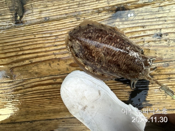 11월30일왕쭈갑 (44).jpg