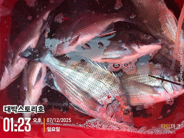 2025-12-07 01.23.26__(대박스토리호).jpg