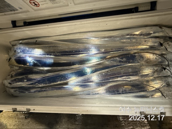 12월17일대갈치 (61).jpg