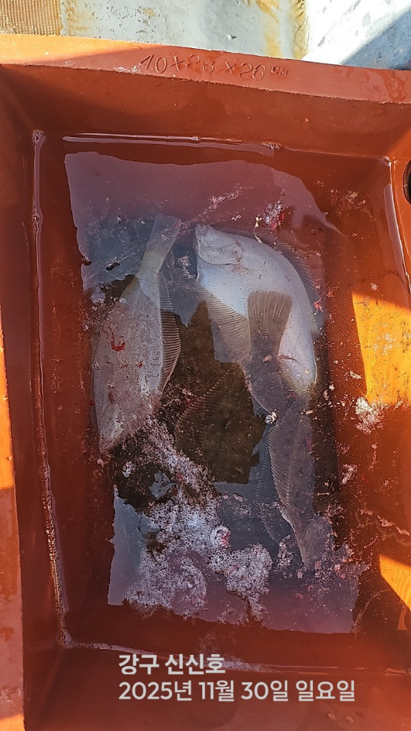 신신낚시 강구점 신신호_사진_20251130_12.jpg