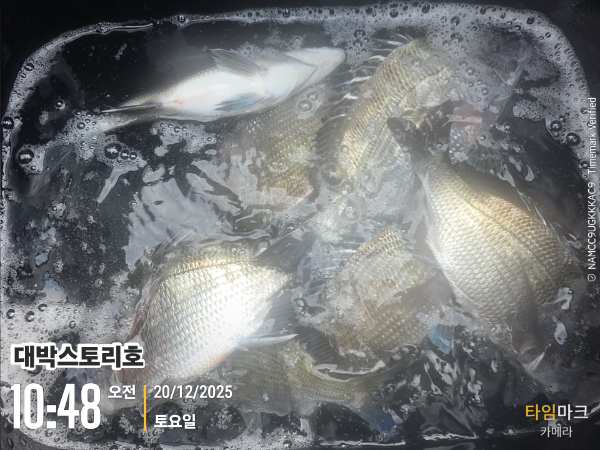 2025-12-20 10.48.10__(대박스토리호).jpg