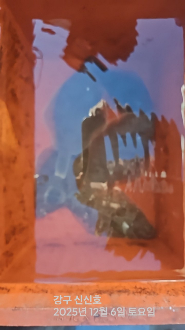 신신낚시 강구점 신신호_사진_20251206_4.jpg