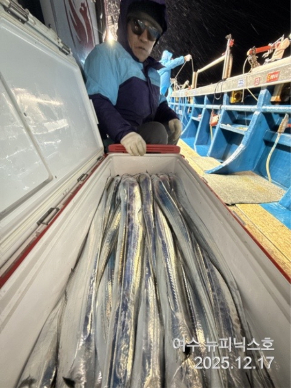 12월17일왕갈치 (4).jpg