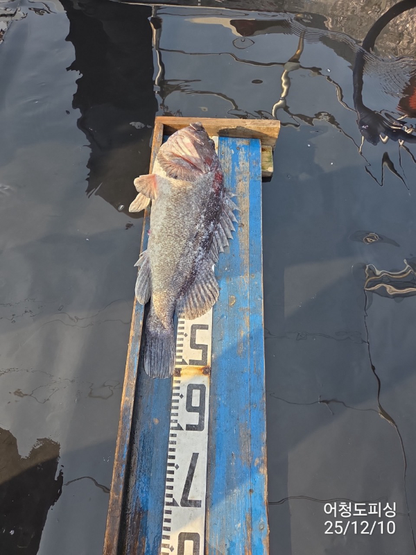 최강피싱 063.463.0800_사진_20251211_8.jpg