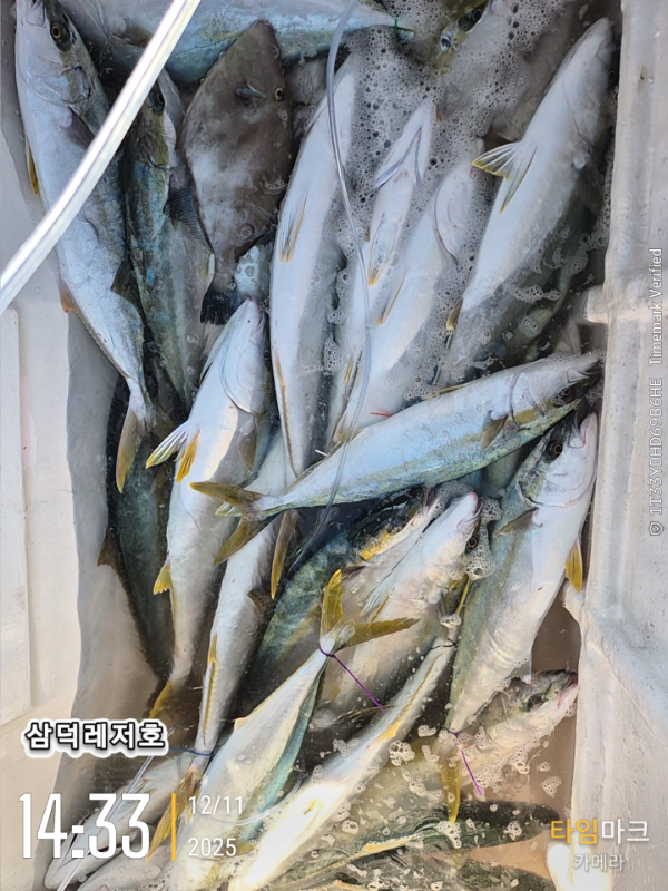 2025-12-11 14.33.43_.jpg