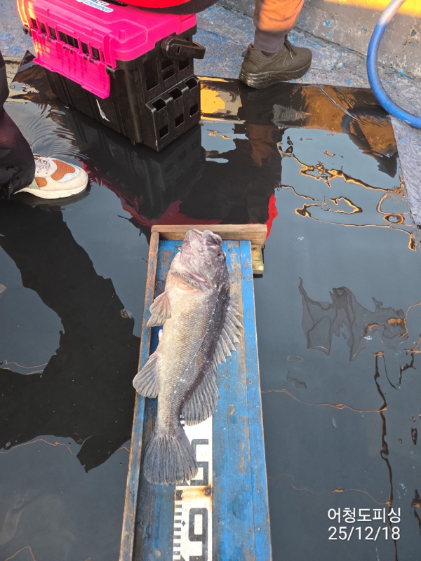 최강피싱 063.463.0800_사진_20251219_8.jpg