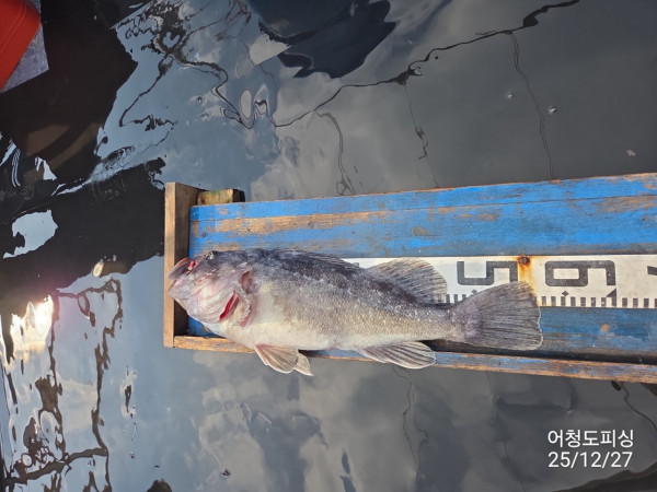 최강피싱 063.463.0800_사진_20251227_3.jpg