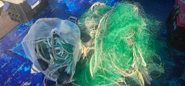 거제도 구조라  뉴아라호 (지깅, 파핑,한치,갈치,타이바라 전문)_사진_20251223_8.jpg