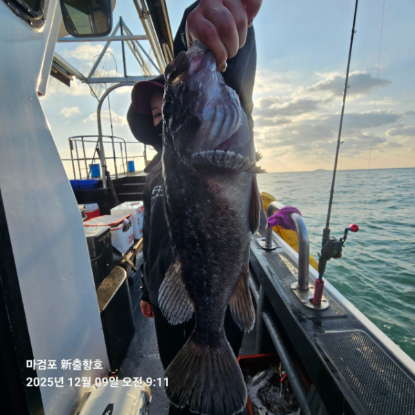 ꫛꫀꪝ✧‧˚ 태안 마검포 新출항호 .• _˚☀₊_사진_20251209_6.jpg