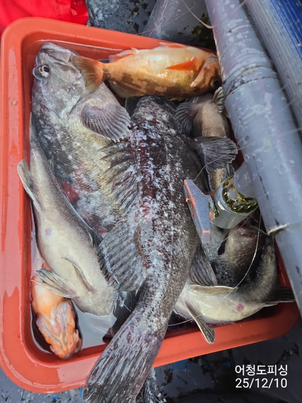 최강피싱 063.463.0800_사진_20251211_25 - 복사본.jpg