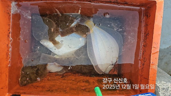 신신낚시 강구점 신신호_사진_20251201_16.jpg