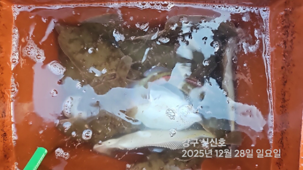 신신낚시 강구점 신신호_사진_20251228_13.jpg