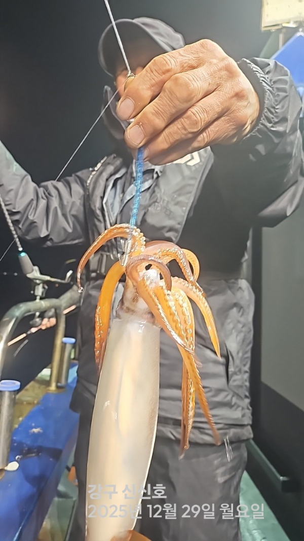 신신낚시 강구점 신신호_사진_20251230_10.jpg