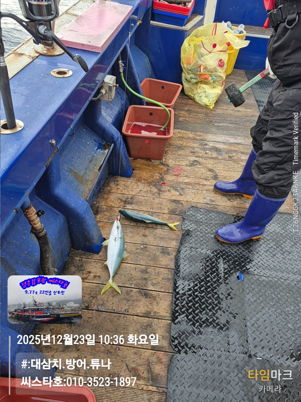 2025-12-23 10.36.21__(#-대삼치.방어.튜나)_(씨스타호-010-3523-1897).jpg